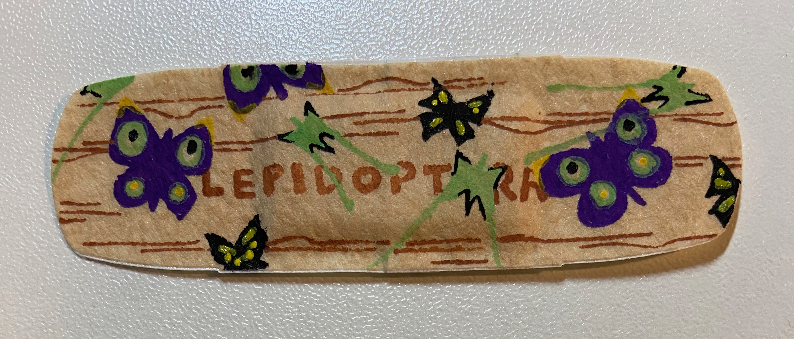 Butterfly band-aid